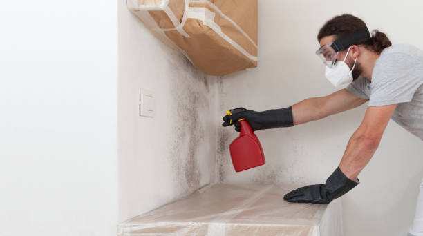 Professional Crawl Space Mold Remediation technician working in Nanty Glo, PA