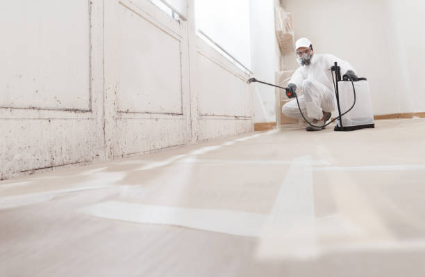 24/7 Emergency Crawl Space Mold Remediation experts in Nanty Glo, PA